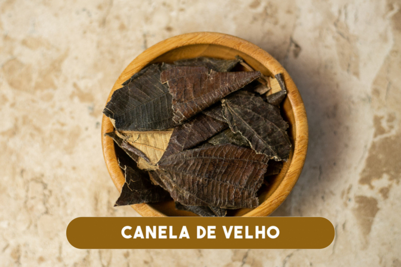 Canela de Velho