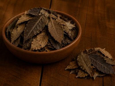 Canela de Velho