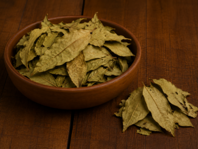 Graviola Folhas