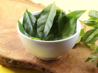 Ora Pro Nobis Folhas